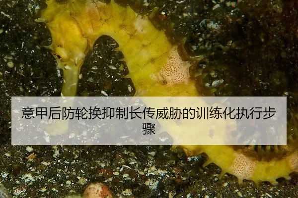 yi-jia-hou-fang-lun-huan-yi-zhi-zhang-chuan-wei-xie-de-xun-lian-hua-zhi-xing-bu-zhou-2-436.jpg